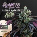 Auto French Macaron (T.H.Seeds) feminizovaná