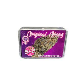 Original Oz (Growers Choice) feminizovan&aacute;