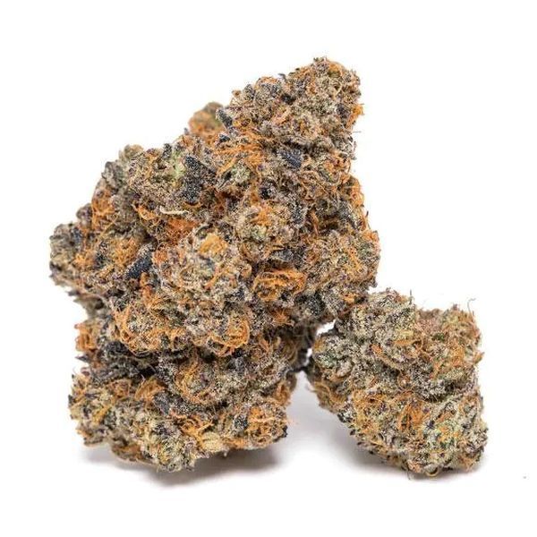 King Louis Garcia (Growers Choice) feminizovaná