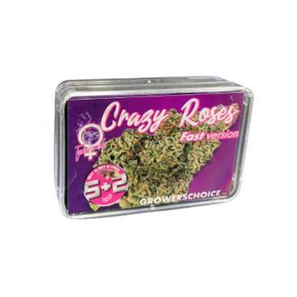 Crazy Roses Fast Version (Growers Choice) feminizovaná
