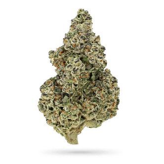 Crazy Roses Fast Version (Growers Choice) feminizovan&aacute;