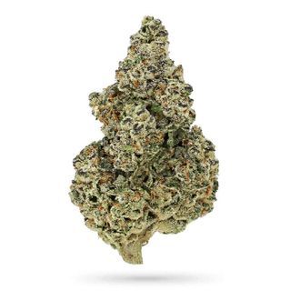 Crazy Roses Fast Version (Growers Choice) feminizovan&aacute;