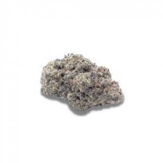 Cherry Zoap Samonakv&eacute;tac&iacute; (Growers Choice) feminizovan&aacute;