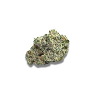 MAC1 Samonakv&eacute;tac&iacute; (Growers Choice) feminizovan&aacute;