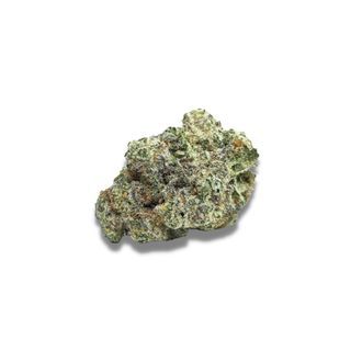 MAC1 Samonakv&eacute;tac&iacute; (Growers Choice) feminizovan&aacute;