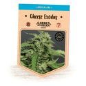 Cheese Exodus (Garden of Green) feminizovaná