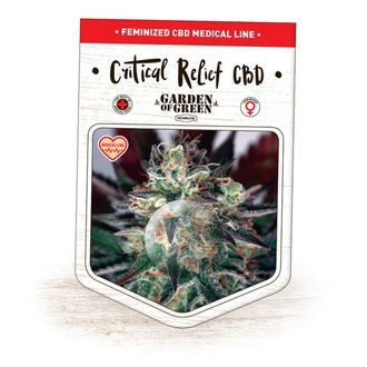 Critical Relief CBD (Garden of Green) feminizovan&aacute;