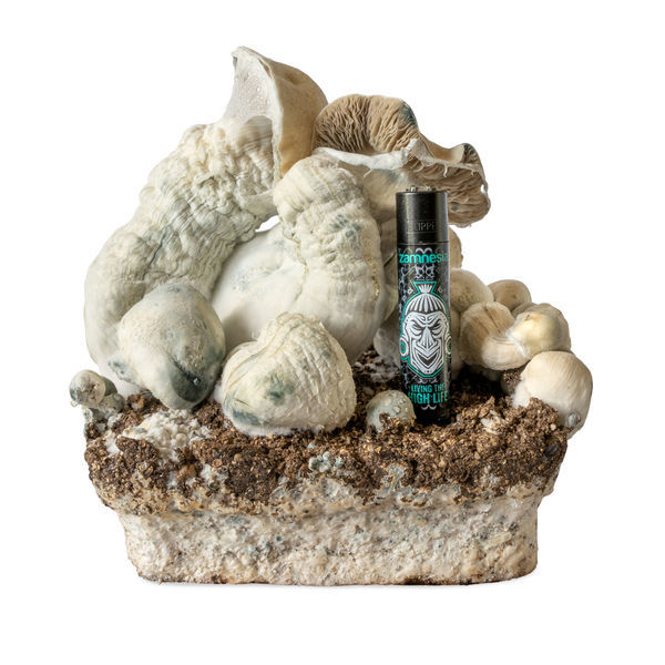 Stříkačka s tekutou kulturou Melmac Monster (Acid Shroomz)