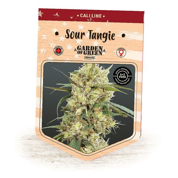 Sour Tangie (Garden of Green) feminizovaná