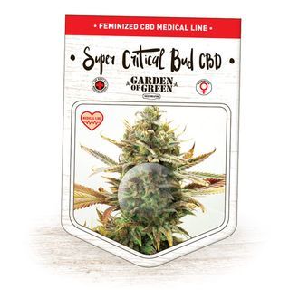 Super Critical Bud CBD (Garden of Green) feminizovan&aacute;
