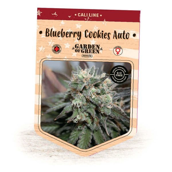 Blueberry Cookies Auto (Garden of Green) feminizovaná