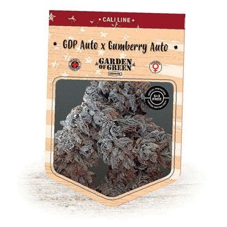 GDP Auto x Gumberry Auto (Garden of Green) feminizovan&aacute;