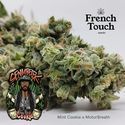 Senmbelek Cookie (French Touch Seeds) feminizovaná