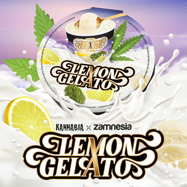 Lemon Gelato (Kannabia x Zamnesia) feminizovaná
