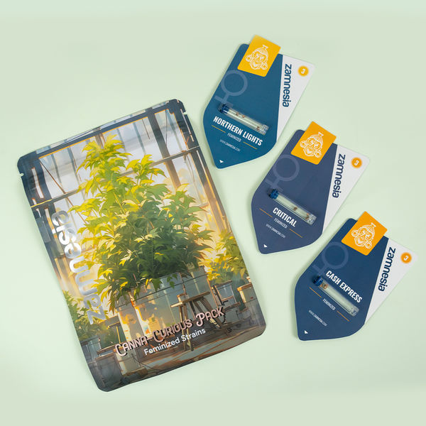 Balíček pro zvědavé na konopí – feminizované odrůdy