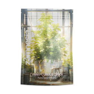 Bal&iacute;ček pro zvědav&eacute; na konop&iacute; &ndash; feminizovan&eacute; odrůdy