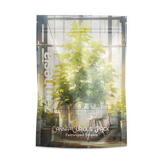 Bal&iacute;ček pro zvědav&eacute; na konop&iacute; &ndash; feminizovan&eacute; odrůdy