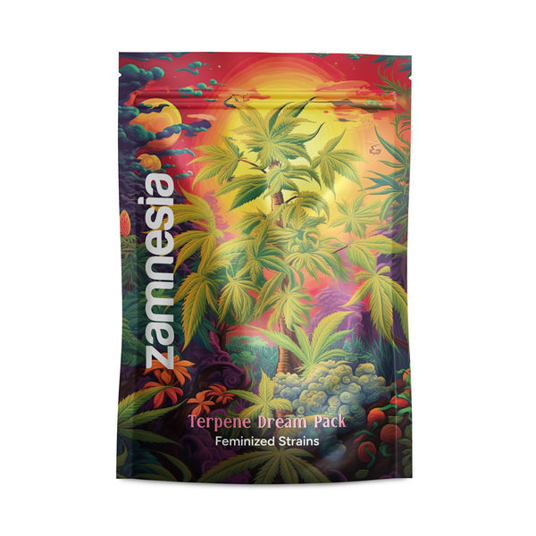 Balíček Terpene Dream – feminizované odrůdy