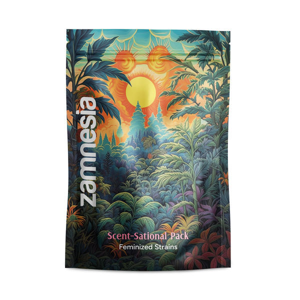 Balíček Scent-Sational – feminizované odrůdy