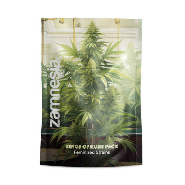 Kings of Kush Pack – feminizované odrůdy