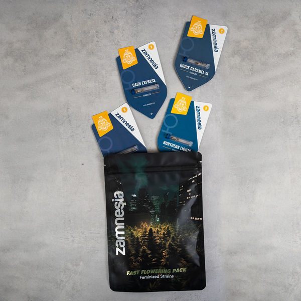 Balíček rychle kvetoucích odrůd – feminizované strainy