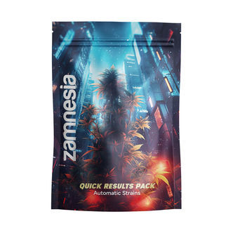 Bal&iacute;ček rychl&eacute;ho v&yacute;sledku &ndash; samonakv&eacute;tac&iacute; odrůdy