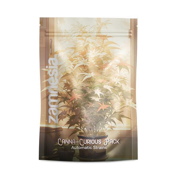 Canna-Curious Pack – samonakvétací odrůdy