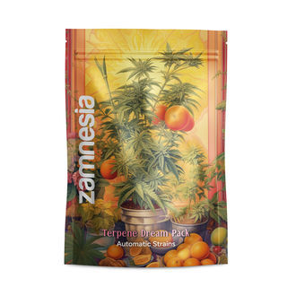 Terpene Dream Pack &ndash; samonakv&eacute;tac&iacute; odrůdy