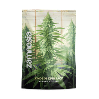 Kings of Kush Pack - Samonakv&eacute;tac&iacute; odrůdy