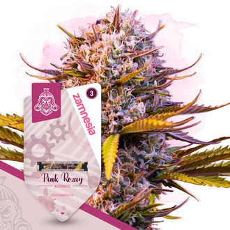 Super THC Pack – Samonakvétací odrůdy