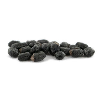 Prickly Pack – semena meskalinových kaktusů