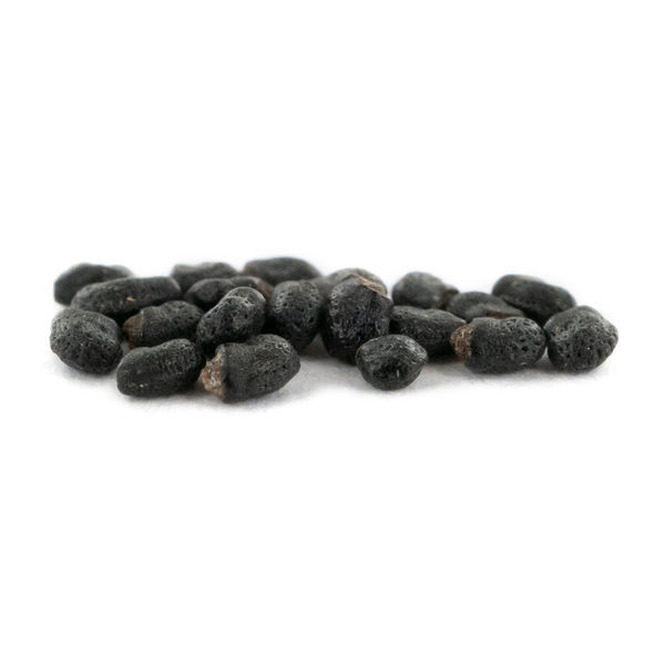 Prickly Pack – semena meskalinových kaktusů