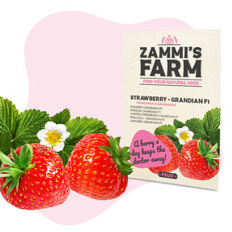 Balíček ovocných semen - Zammi's Farm