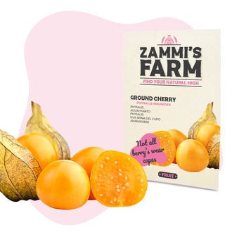 Balíček ovocných semen - Zammi's Farm
