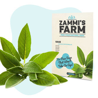 Balíček semen pro wellness – Zammiho farma