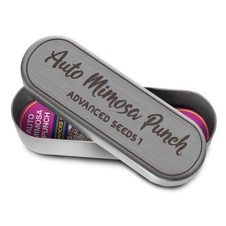 Auto Mimosa Punch (Advanced Seeds) feminizovan&aacute;