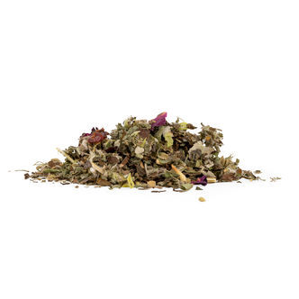 Čaj Sněn&iacute; ve dne