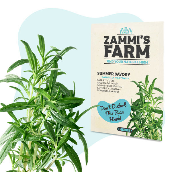 Balíček semen čajových bylin – Zammi's Farm