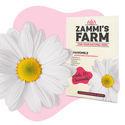 Balíček semen čajových bylin – Zammi's Farm