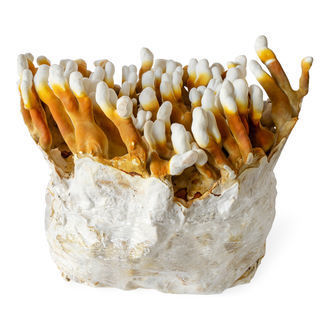 Stříkačka s tekutou kulturou reishi (fufufungu)