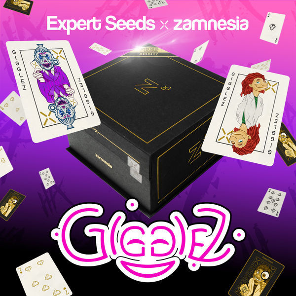 Gigglez (Expert Seeds x Zamnesia) feminizované