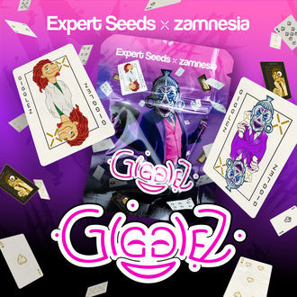 Gigglez (Expert Seeds x Zamnesia) feminizované