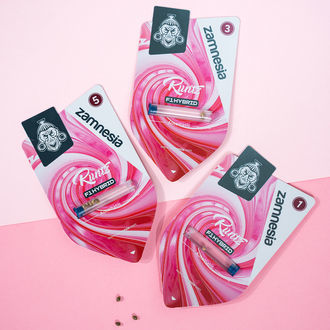 Runtz F1 Samonakvétací (Zamnesia Seeds) feminizovaná