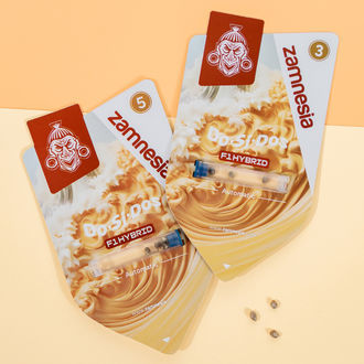 Do-Si-Dos F1 Samonakvétací (Zamnesia Seeds) feminizovaná