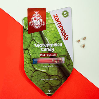 Watermelon Candy F1 Samonakvétací (Zamnesia Seeds) feminizovaná