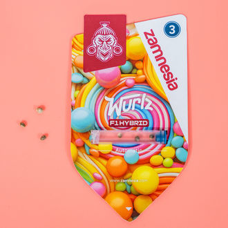 Wurlz F1 Samonakvétací (Zamnesia Seeds) feminizovaná