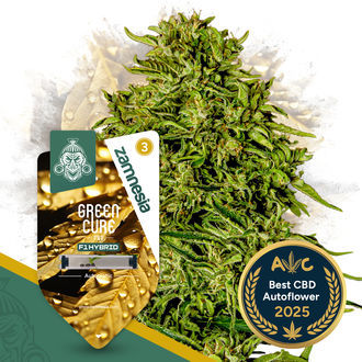 Green Cure CBD F1 Samonakv&eacute;tac&iacute; (Zamnesia Seeds) feminizovan&aacute;