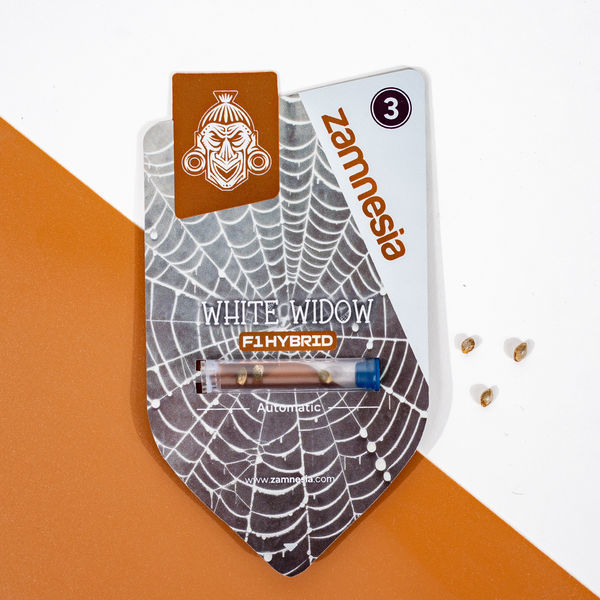 White Widow F1 Samonakvétací (Zamnesia Seeds) feminizovaná