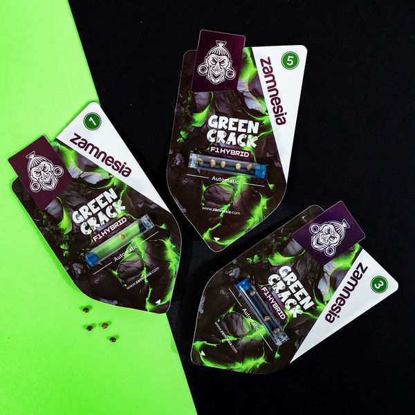 Green Crack F1 Samonakvétací (Zamnesia Seeds) feminizované