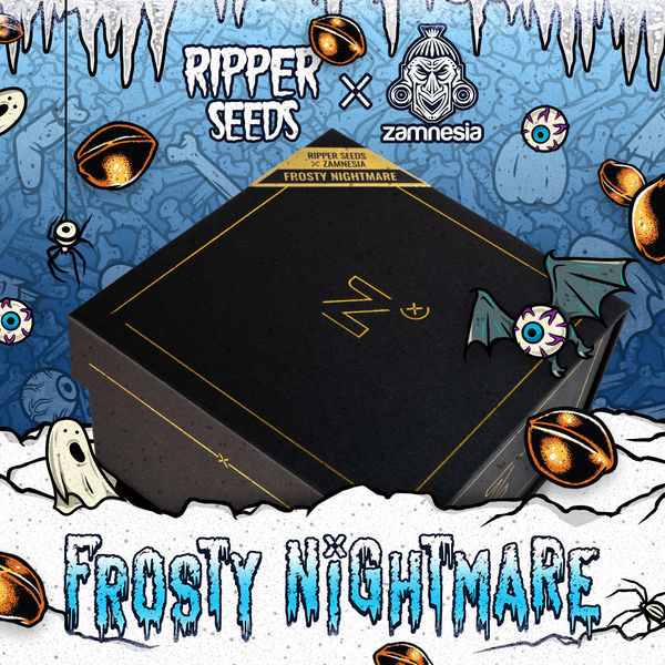 Frosty Nightmare (Ripper Seeds x Zamnesia) feminizovaná